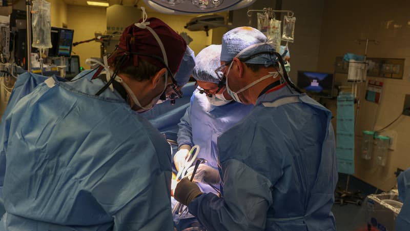 Le 16 mars 2024, image fournie par le Massachusetts General Hospital de Boston, Massachusetts, des chirurgiens réalisent la première greffe de rein de porc génétiquement modifié au monde sur un être humain vivant.