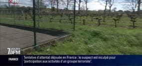 La Gironde s'alarme de l'usage des pesticides
