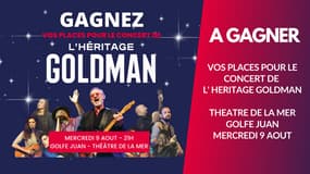 A gagner : vos places pour le concert l'héritage Goldman 