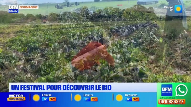 Petit-Caux : un festival pour découvrir le bio avec les agriculteurs 