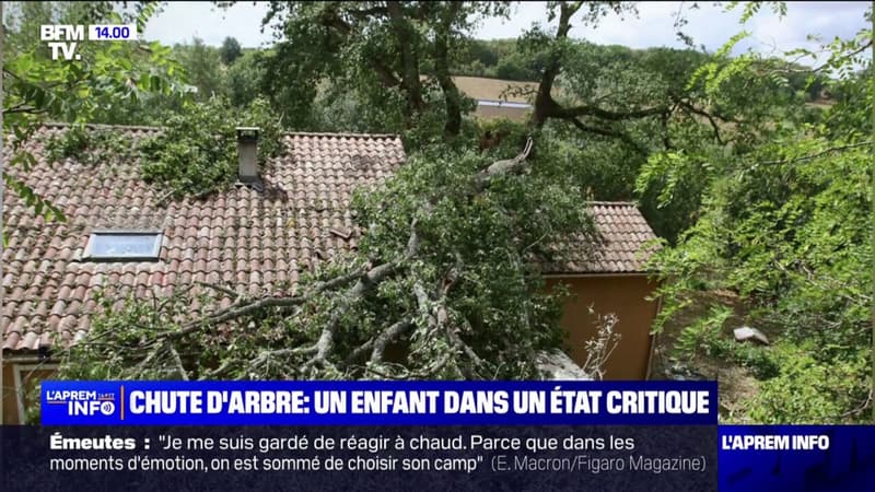 Vents violent en Charente-Maritime: un enfant de 10 ans dans un état critique, après qu'un arbre lui soit tombé sur la tête