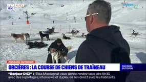 Passion Outdoor du jeudi 19 janvier 2023 - Orcières : La course de chiens de traîneau 
