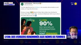 Lyon: six vergers municipaux renommés aux noms de femmes qui ont marqué la ville 
