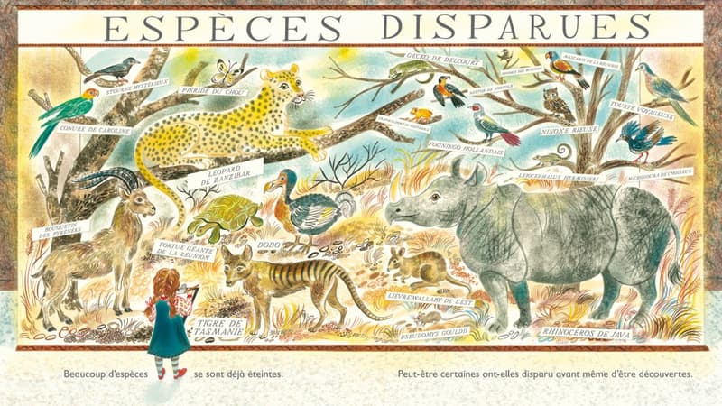 "Tous: la biodiversité sur terre" de Nicola Davies et Emily Sutton 
