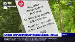 Chiens empoisonnés: des actions de prévention pour rassurer les propriétaires