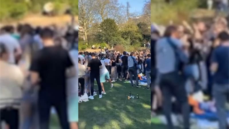 Plusieurs centaines de personnes étaient réunies mardi soir dans les parcs lillois.