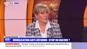 Pour Nadine Morano (Les Républicains), la réforme des retraites est "un grand gâchis"