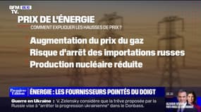 Comment expliquer une telle hausse des prix de l'électricité en France?