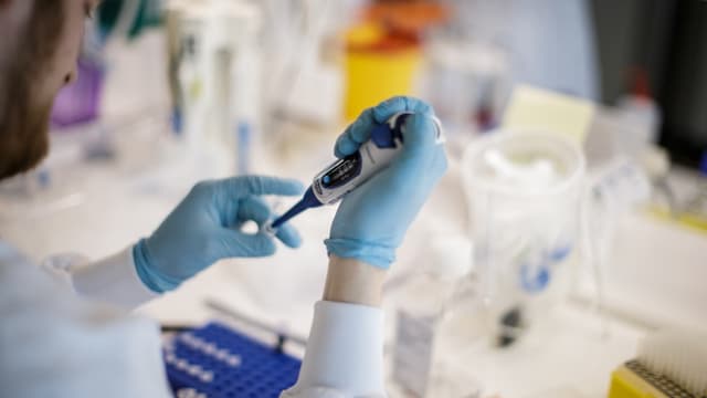 Un chercheur travaille sur un vaccin contre le Covid-19, au Danemark.