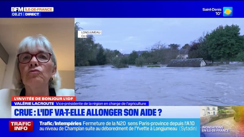 L'appel à la solidarité de Valérie Lacroute, vice-présidente de la région chargée de l'agriculture, pour les agriculteurs touchés par les inondations (1/1)