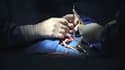 Un chirurgien condamné pour avoir graver ses initiales sur le foie de ses patients - Photo d'illustration