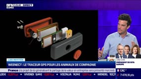 Ferdinand Rousseau (Weenect) : Weenect,  le traceur GPS pour animaux - 22/05