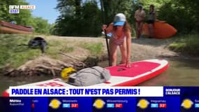 Alsace: des règles de sécurité à respecter en paddle