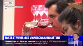 Taxes et virus: les vignerons s'inquiètent - 11/02