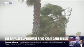 Rafales de vent supérieures à 100km/h: des dégâts dans plusieurs communes du sud de la France
