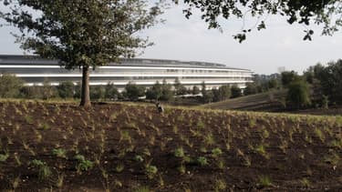 Le gigantesque siège d'Apple à Cupertino en Californie.