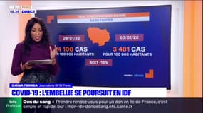 Paris Scan: Quelle est la situation sanitaire en Île-de-France? 