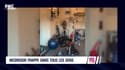 McGregor, Balotelli, Neymar... L'Actu Sport.Net du 30 novembre 2018