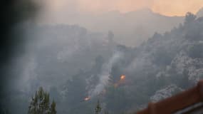 L'incendie a parcouru 100 hectares de brousailles et forêts.