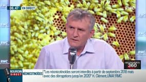 Où en sommes-nous de l’interdiction des néonicotinoïdes? Henri Clément, porte-parole de l'union nationale de l’apiculture française