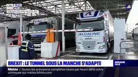 Le tunnel sous la Manche s'adapte au Brexit