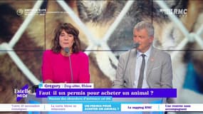 L'intégrale d'Estelle Midi du mercredi 15 septembre