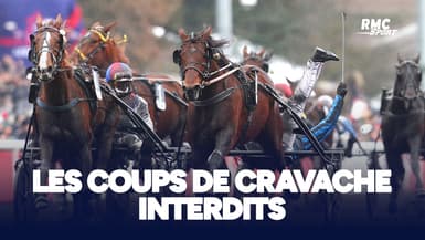 Hippisme : les coups de cravache seront désormais interdits dans les courses de trot