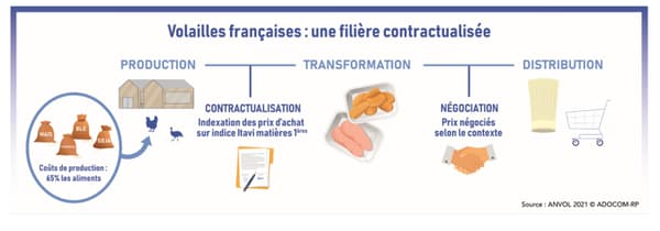 La volaille française adopte un schéma contractuel