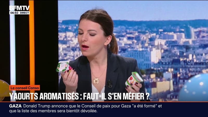 Le conseil Conso - Yaourts aromatisés: ce que des députés veulent changer