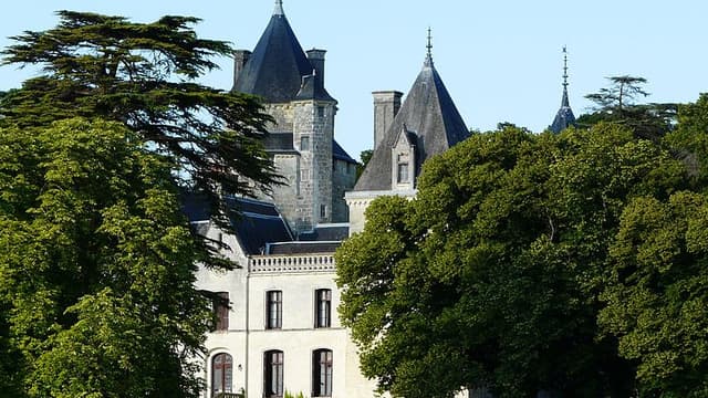 Le château de Ternay, dans la Vienne, est sur la liste des 101 sites en péril, dévoilés par la mission patrimoine.