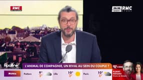 On n'a pas osé vous en parler : L'animal de compagnie, un rival au sein du couple ? - 27/02