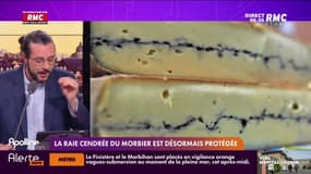 Les histoires de Charles Magnien  : La raie cendrée du morbier est désormais protégée - 24/11