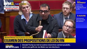 "Vous êtes un Pinocchio" lance le député Modem Richard Ramos à l'adresse du député RN Thomas Ménagé