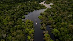 Un bateau sur la rivière Jurura, au coeur de la forêt amazonienne, le 15 mars 2020 au Brésil