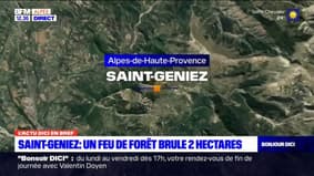 Saint-Geniez: un feu de forêt brûle deux hectares