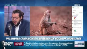 Incendies en Amazonie: des fausses photos circulent sur les réseaux sociaux