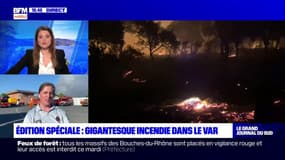 Incendie dans le Var: une catastrophe pour la biodiversité et l'écologie du département