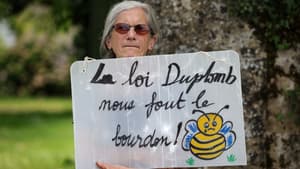 Une membre du syndicat agricole Confédération Paysanne lors d'une mobilisation contre la loi Duplomb, à Saint-Michel, dans le sud-ouest de la France, le 5 juin 2025.