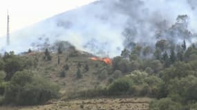 Un feu de végétation s'est déclaré à Cerbère, dans les Pyrénées-Orientales, le 16 avril 2023