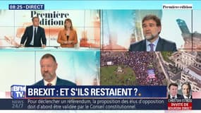 Brexit : et s'ils restaient ?