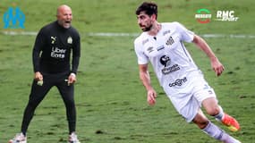 OM : " Sampaoli a coulé Santos", un adjoint du club tacle violemment le coach marseillais 