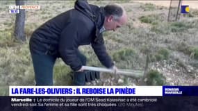 Un policier municipal à la retraite replante des arbres à La Fare-les-Oliviers