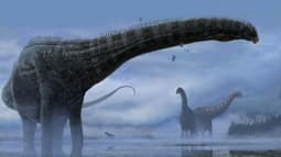 Illustration d'artiste d'un dinosaure sauropode, fournie le 11 février 2022 par la revue Scientific Reports 