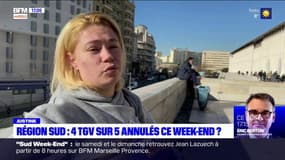 Provence-Alpes-Côte d'Azur: grève des conducteurs de TGV ce week-end