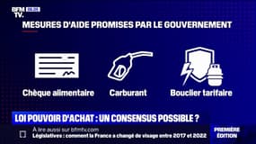 Coup de pouce à la pompe, chèque inflation... Que va-t-il rester des promesses du gouvernement en matière de pouvoir d'achat?