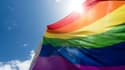 Un drapeau LGBT. - (Photo d'illustration) - Gregor Fischer - AFP