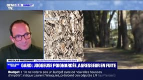 Agression dans le Gard: "Il n'y a plus une parcelle du territoire qui est épargnée" par la violence, regrette Nicolas Meizonnet (RN)