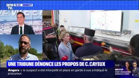 Une tribune dénonce les propos de C. Cayeux - 17/07