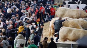 Des visiteurs lors de l'édition 2024 du Salon international de l'agriculture (SIA), à Paris, le 26 février 2024.