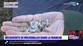 Manche: une pollution marine aux microbilles identifiée sur une plage